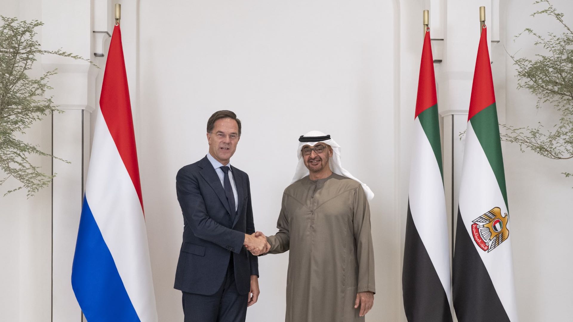 阿联酋和荷兰领导人会面加强相互合作